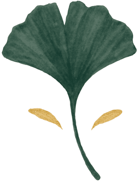 ginko leaf icon
